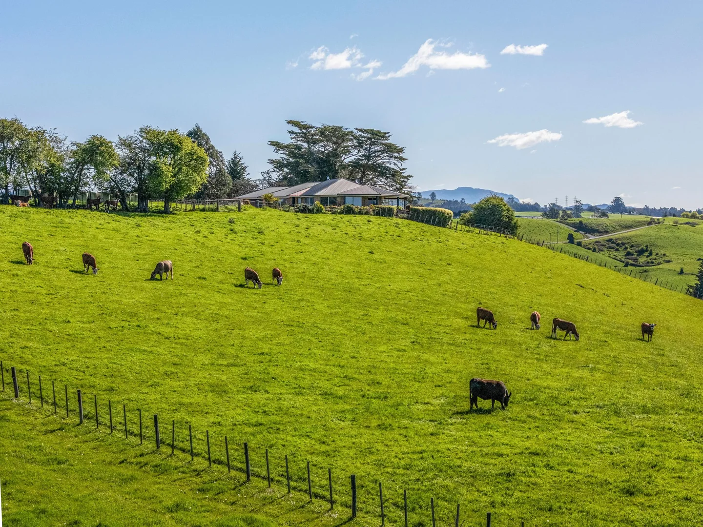 Additional image 35 of 123 Careys Road, West Kentish TAS 7306