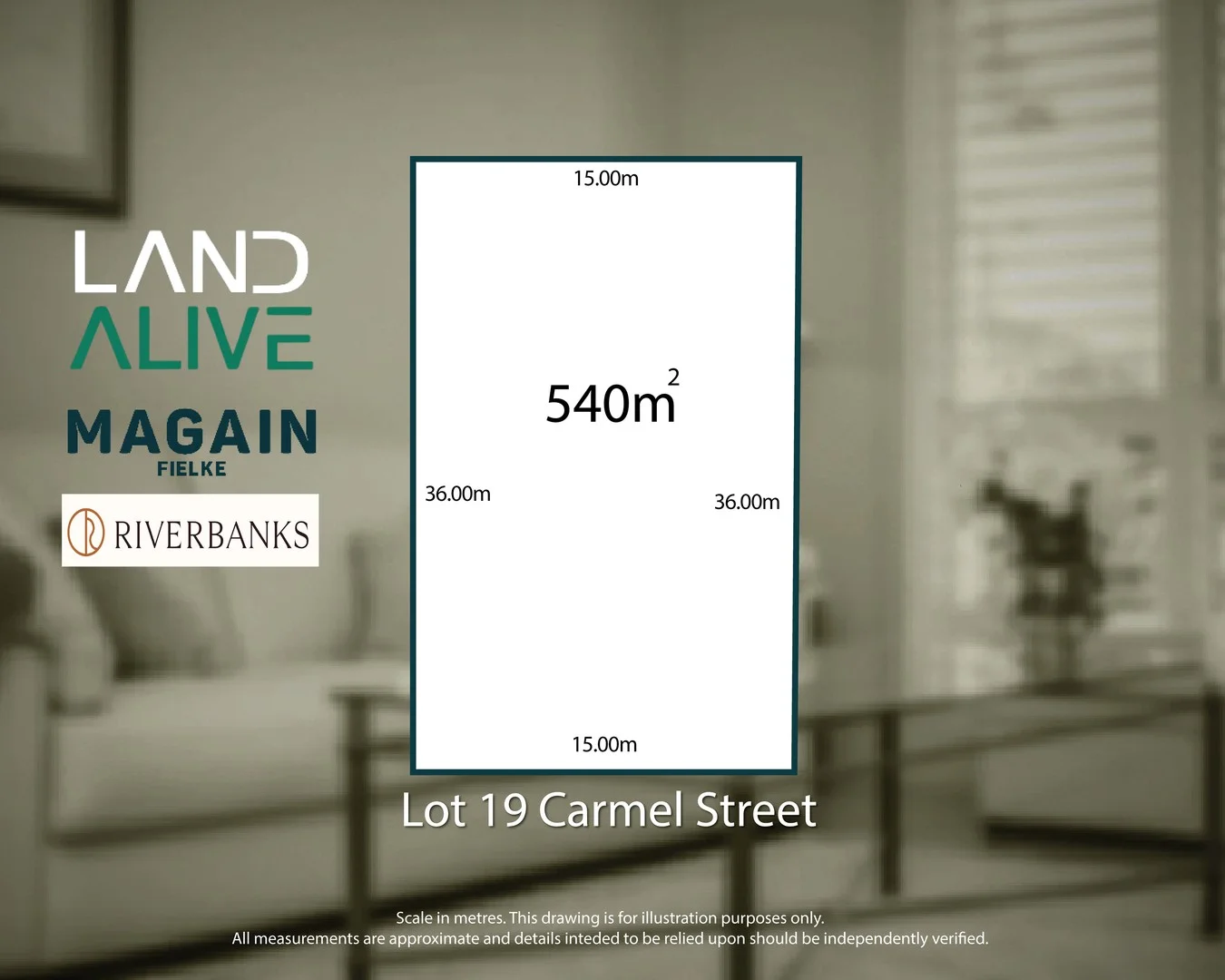 19 Carmel Street, Angle Vale SA 5117