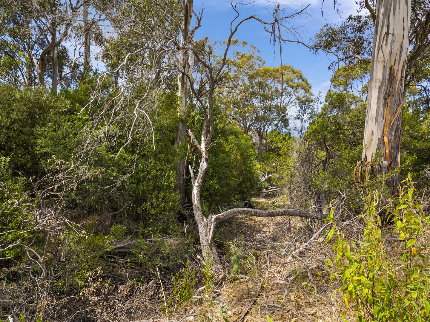 Additional image 18 of 1 Aldridge Road, Orielton TAS 7172