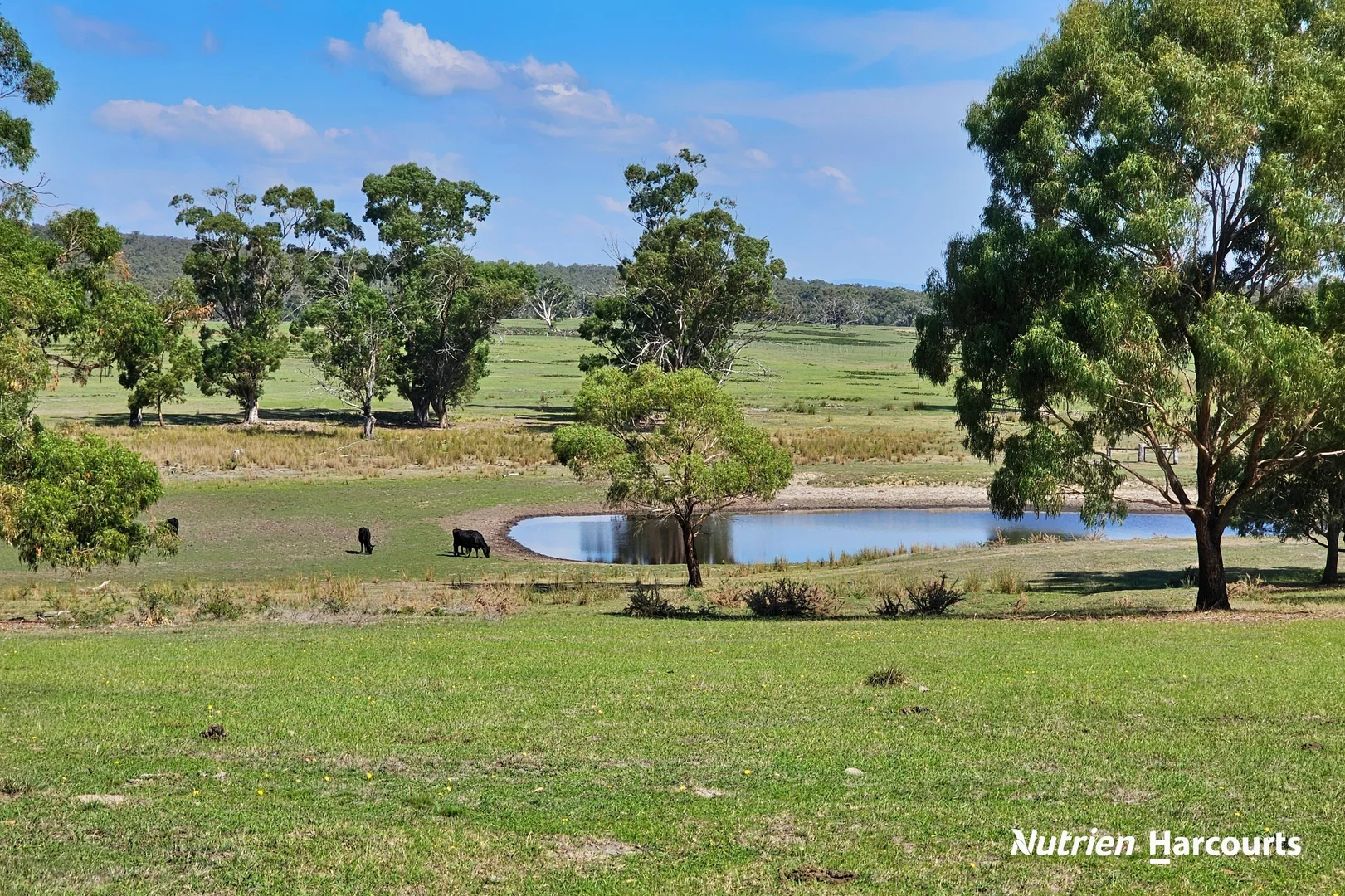 Additional image 3 of 178 Farrell Lane, Rosedale VIC 3847