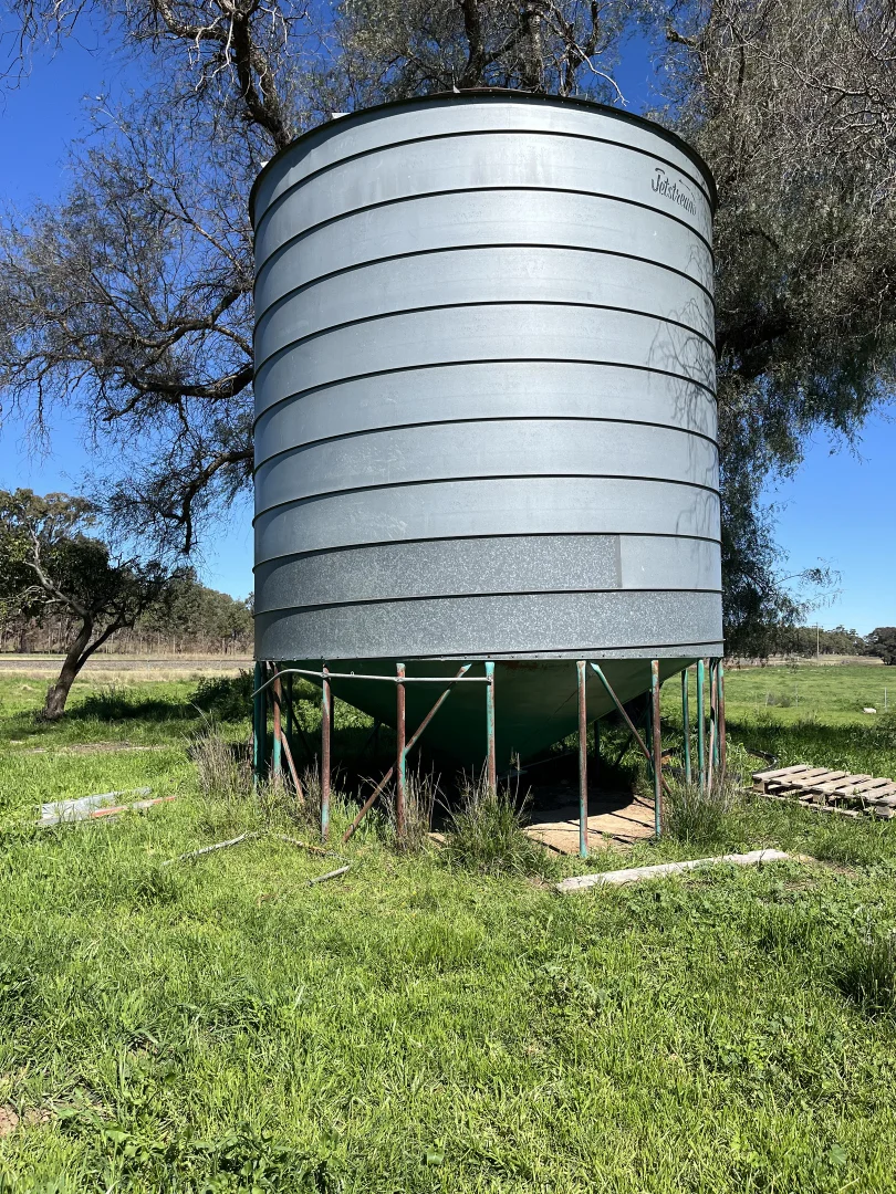 Additional image 11 of "Piambra" 714 Piambra Road, Binnaway NSW 2395