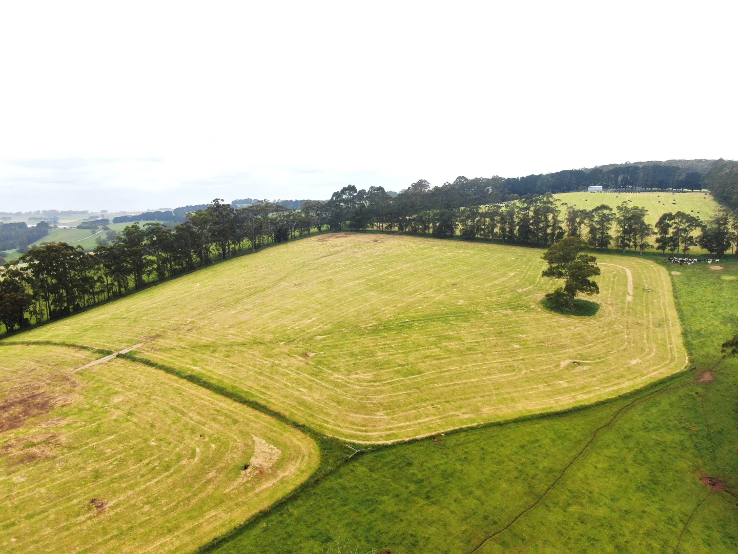 Additional image 22 of 655 Old Thorpdale Road, Mirboo North VIC 3871