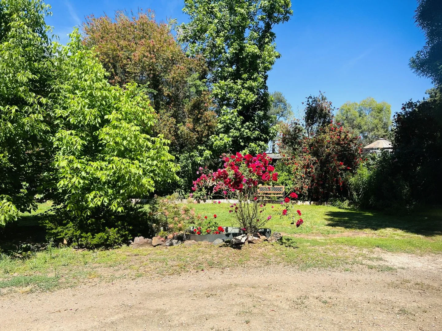 Additional image 10 of 651 Jerilderie Road, Berrigan NSW 2712