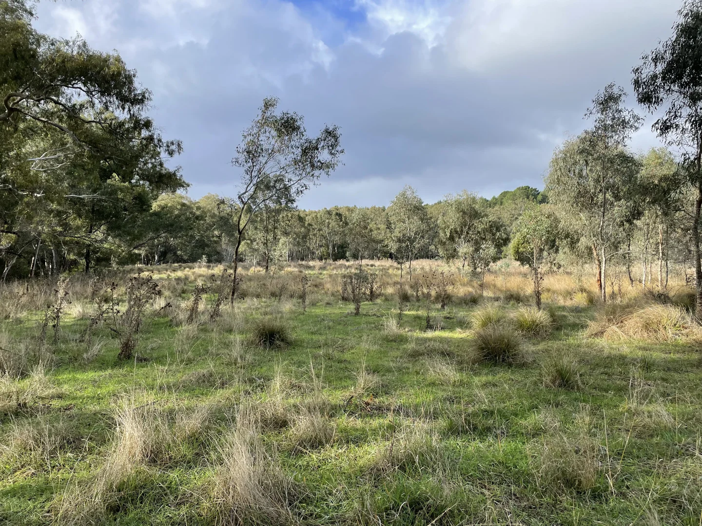 Additional image 8 of Dartmoor-Hamilton Road, Dartmoor VIC 3304