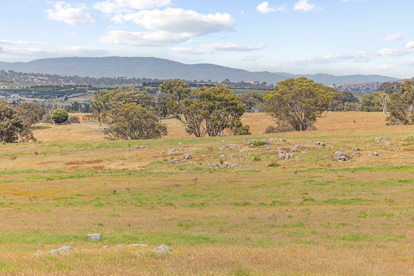 Additional image 27 of 193 Lucernvale Road, Yass NSW 2582