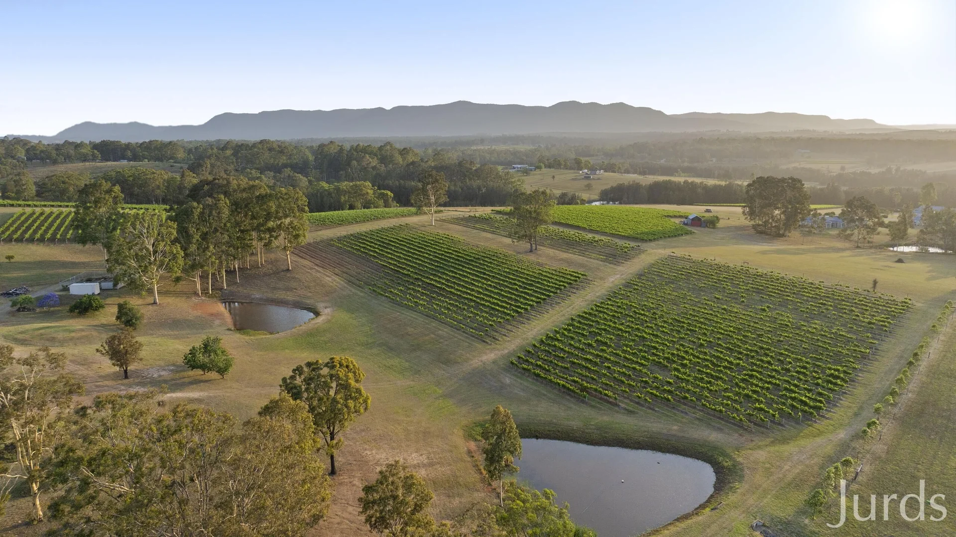 Additional image 37 of 110 Old North Road, Pokolbin NSW 2320