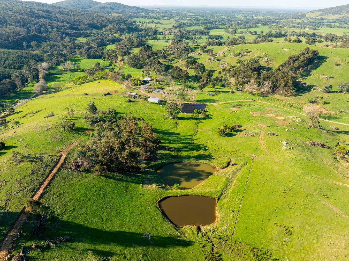 Additional image 29 of 315 Davies Road, Warrenbayne VIC 3670