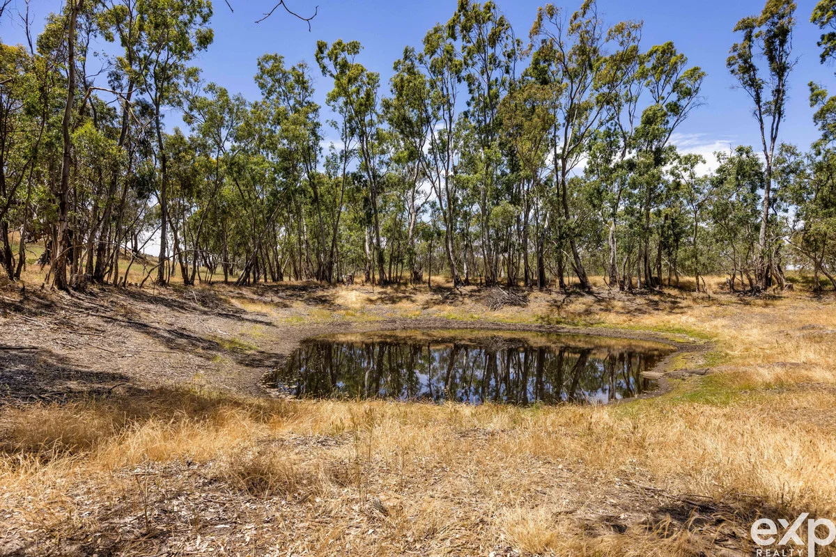 Additional image 4 of 219 Sugar Loaf Hill Road, MoUnt Mckenzie SA 5353