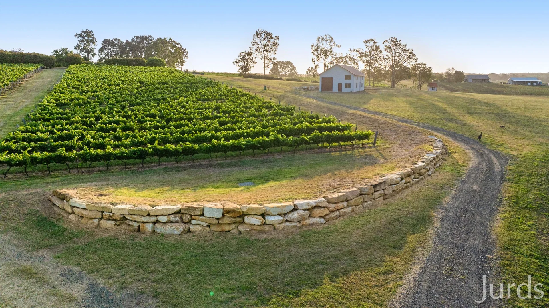 Additional image 4 of 110 Old North Road, Pokolbin NSW 2320