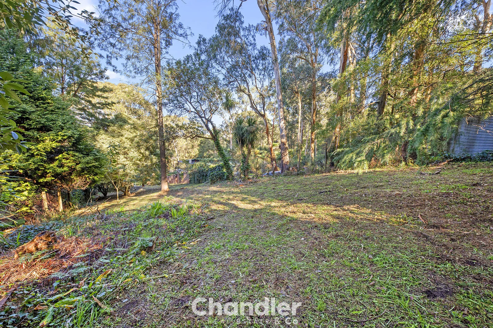 Additional image 8 of 25 Wright Avenue, Upwey VIC 3158