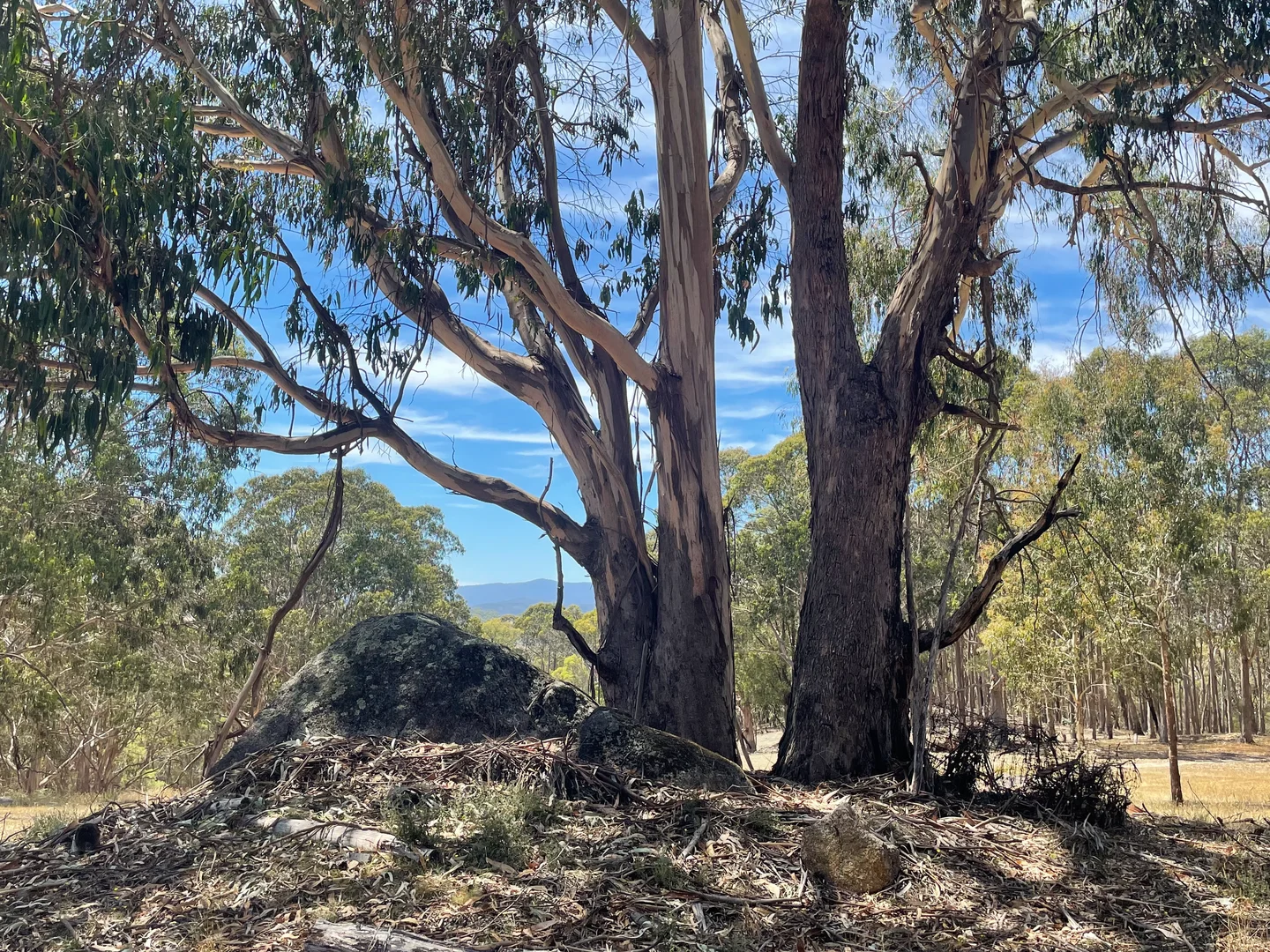 Additional image 13 of Strathbogie VIC 3666