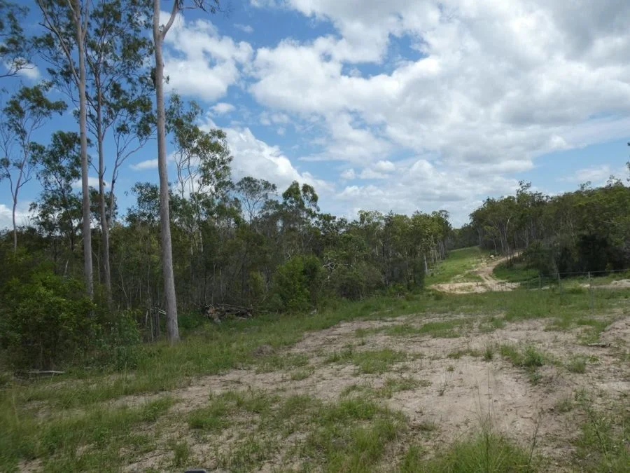 Additional image 35 of Lot 41 Moolyung Road, Waterloo QLD 4673