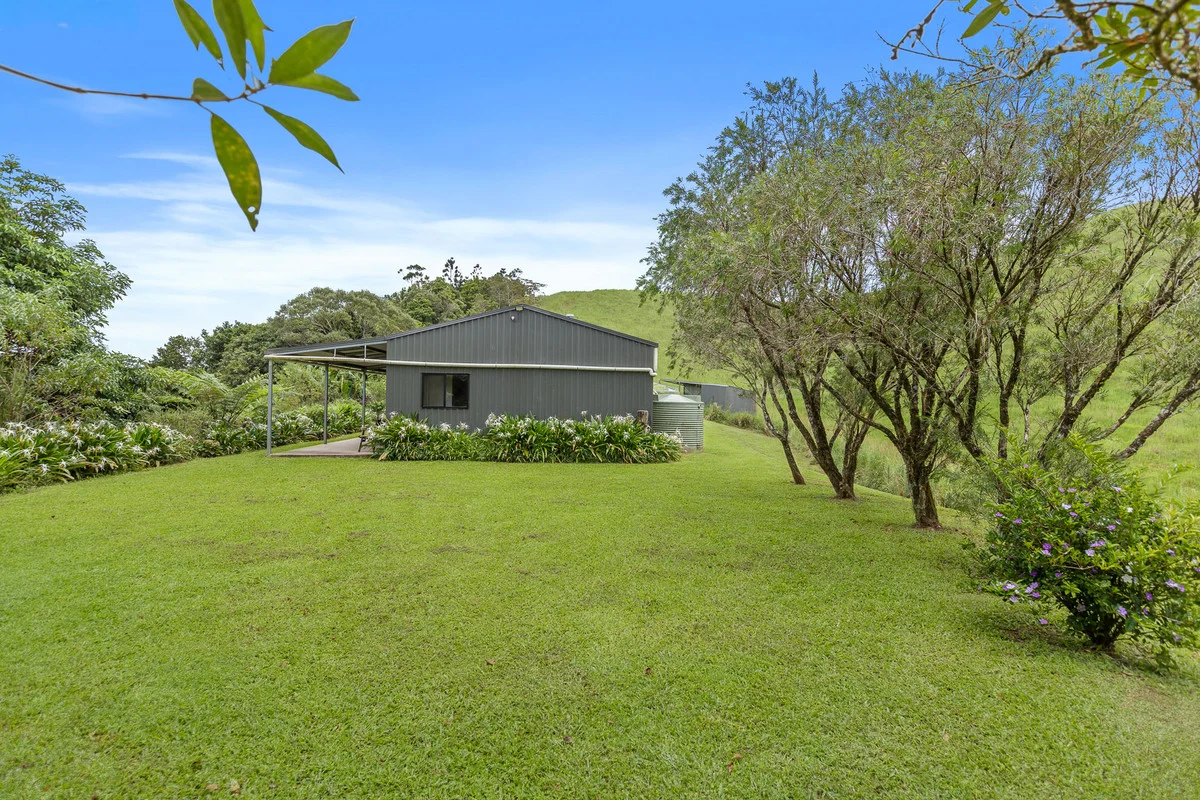 Additional image 7 of Lot 291 Palmerston Highway, Mungalli QLD 4886