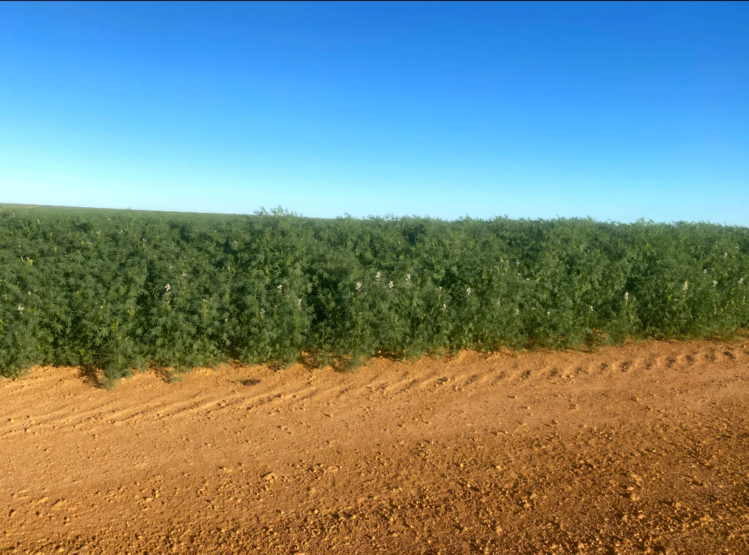 Additional image 17 of Valentine Road, Wicherina WA 6532