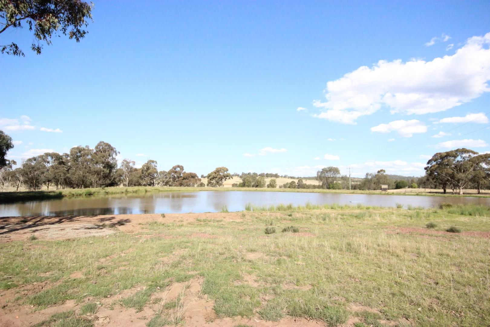 Additional image 38 of 207 Redmanvale Road, Jerrys Plains NSW 2330