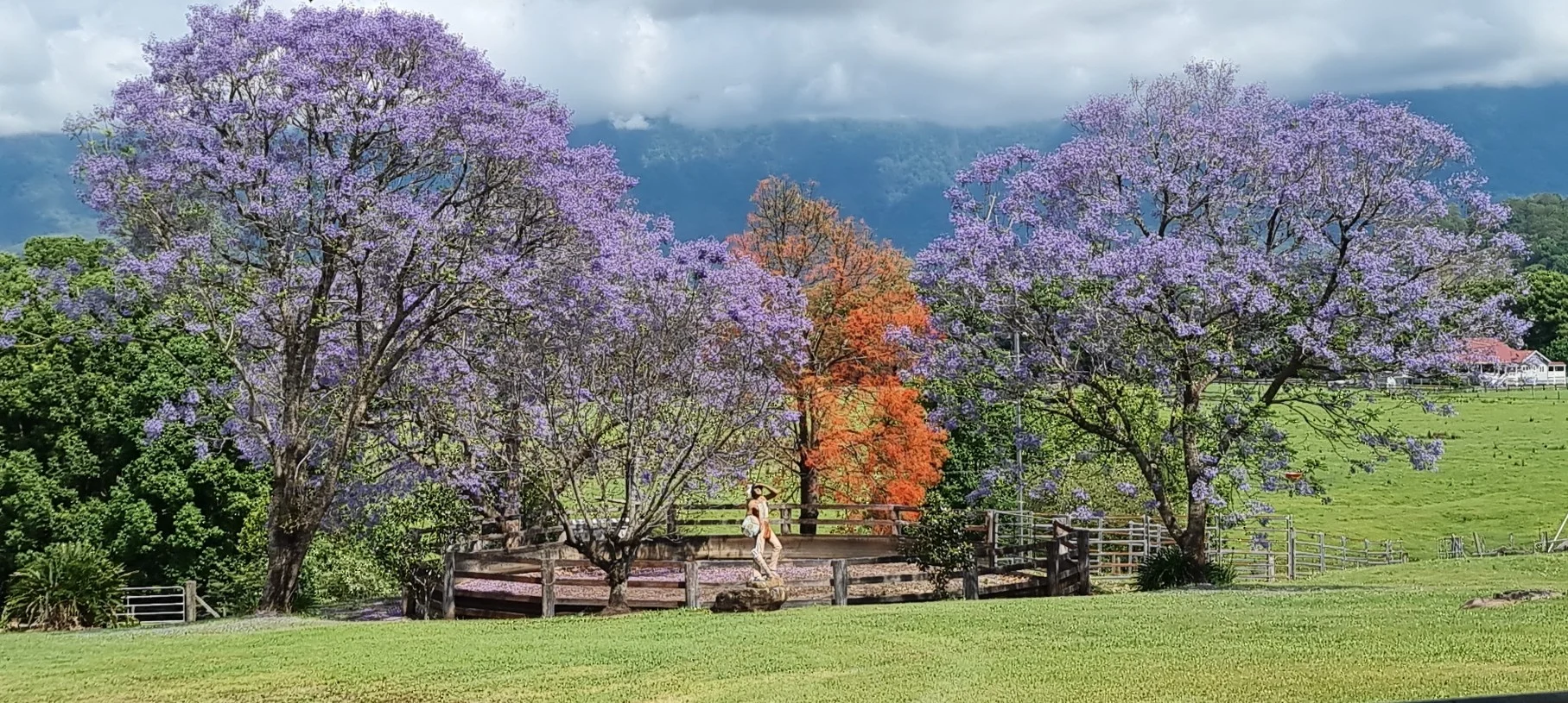 Additional image 4 of 30 Larkins Road, Tyalgum NSW 2484