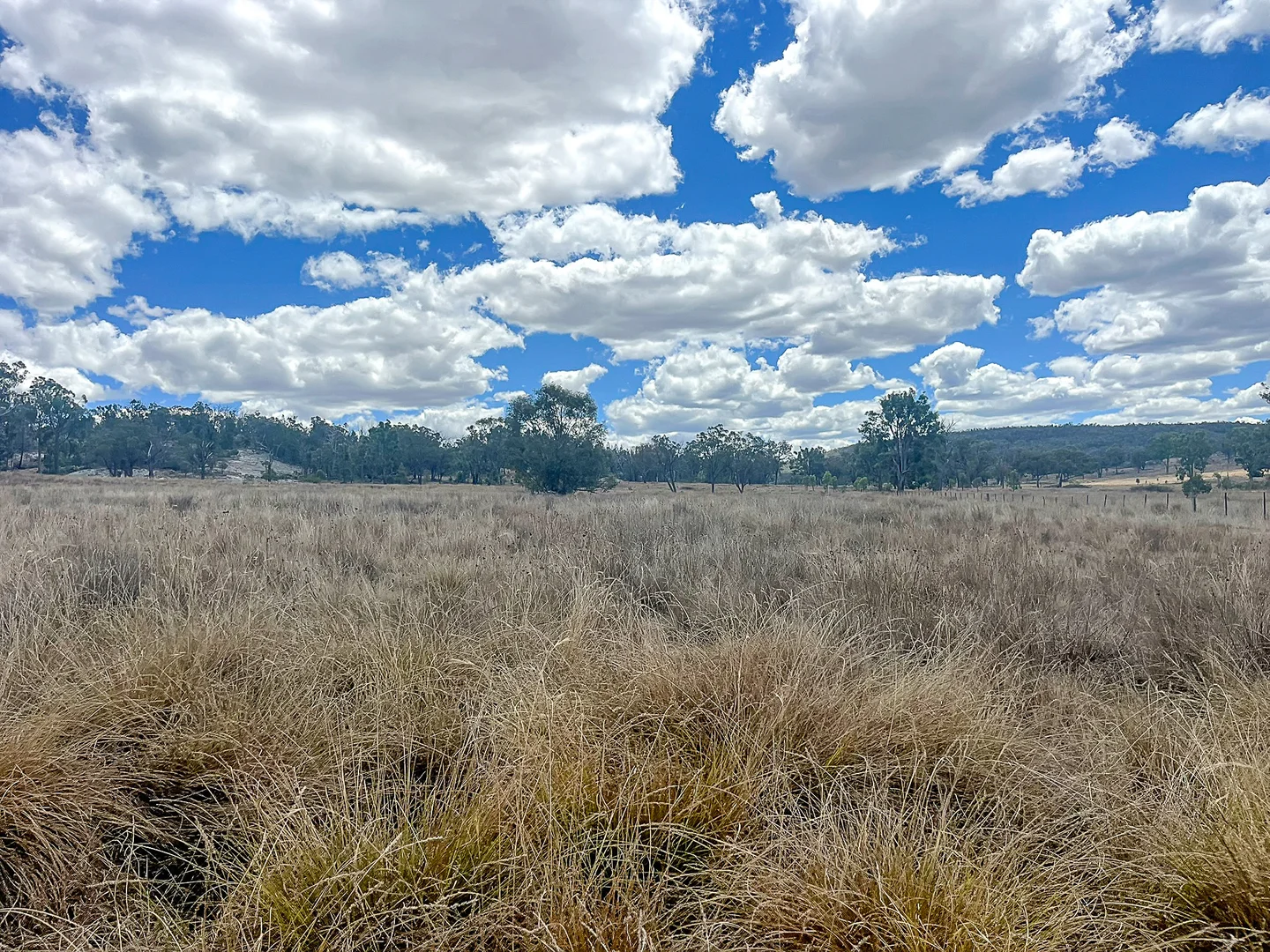 Additional image 25 of 742 Bendemeer Road, Kingstown NSW 2358