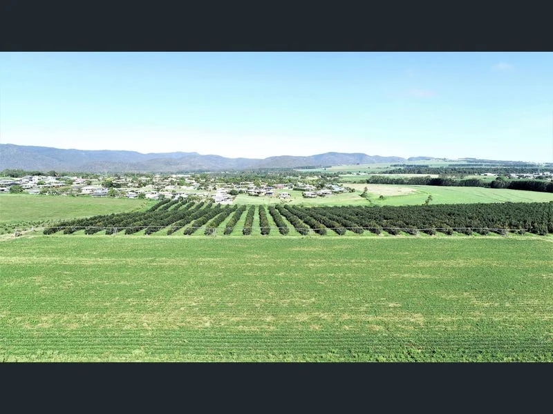 Additional image 9 of 139 Tinaroo Falls Dam Road, Atherton QLD 4883