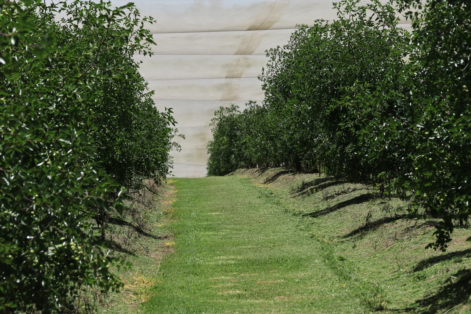 Additional image 3 of 42 Noakes Road, Traveston QLD 4570