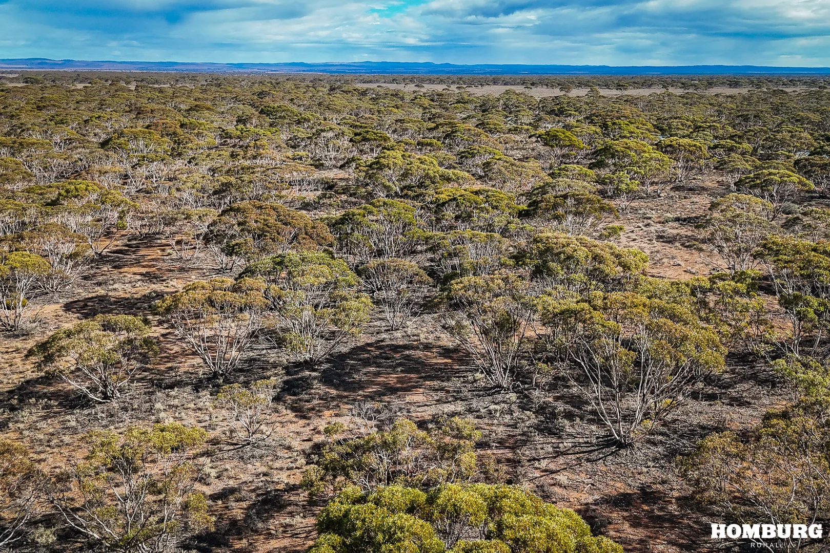 Additional image 3 of 305 Belvidere Road, Ebenezer SA 5355