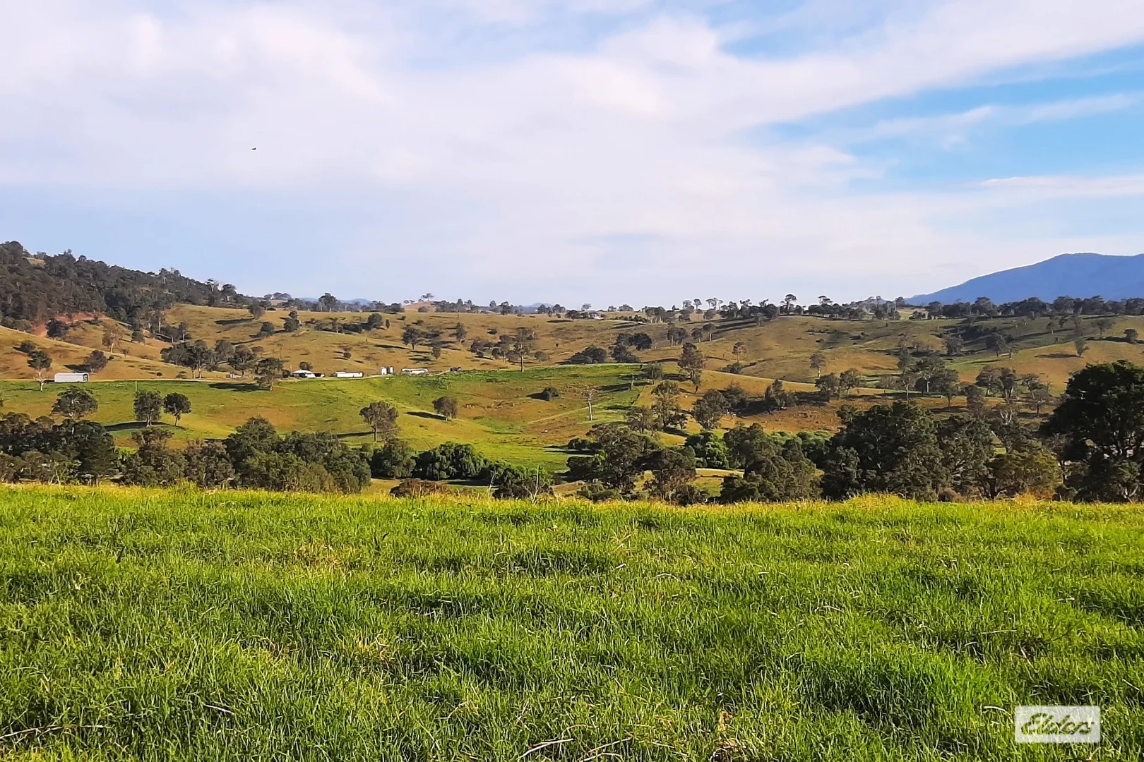 Additional image 4 of 154 - 155 Coopers Gully Road, Coopers Gully NSW 2550