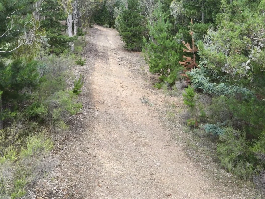 Additional image 23 of Lot 2 Kentucky Road, Neville NSW 2799