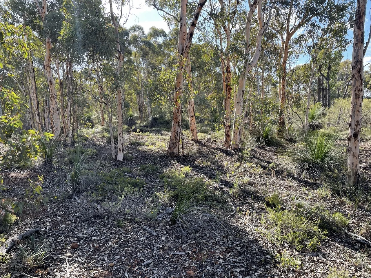 Additional image 14 of 200 Gumley Road, Bakers Hill WA 6562