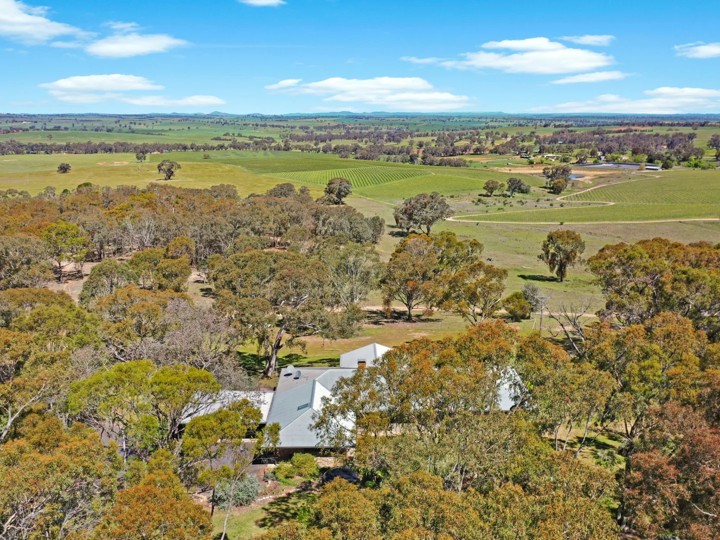 Additional image 32 of 138 Black Range Road, Young NSW 2594