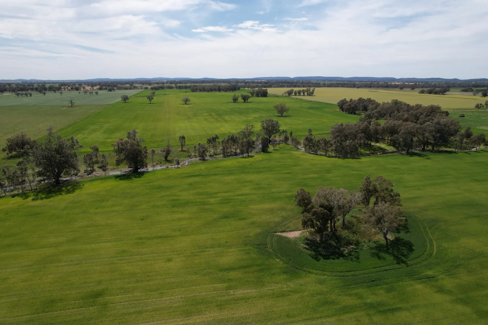 Additional image 15 of 2071 Yarrabandai Road, Bedgerabong NSW 2871
