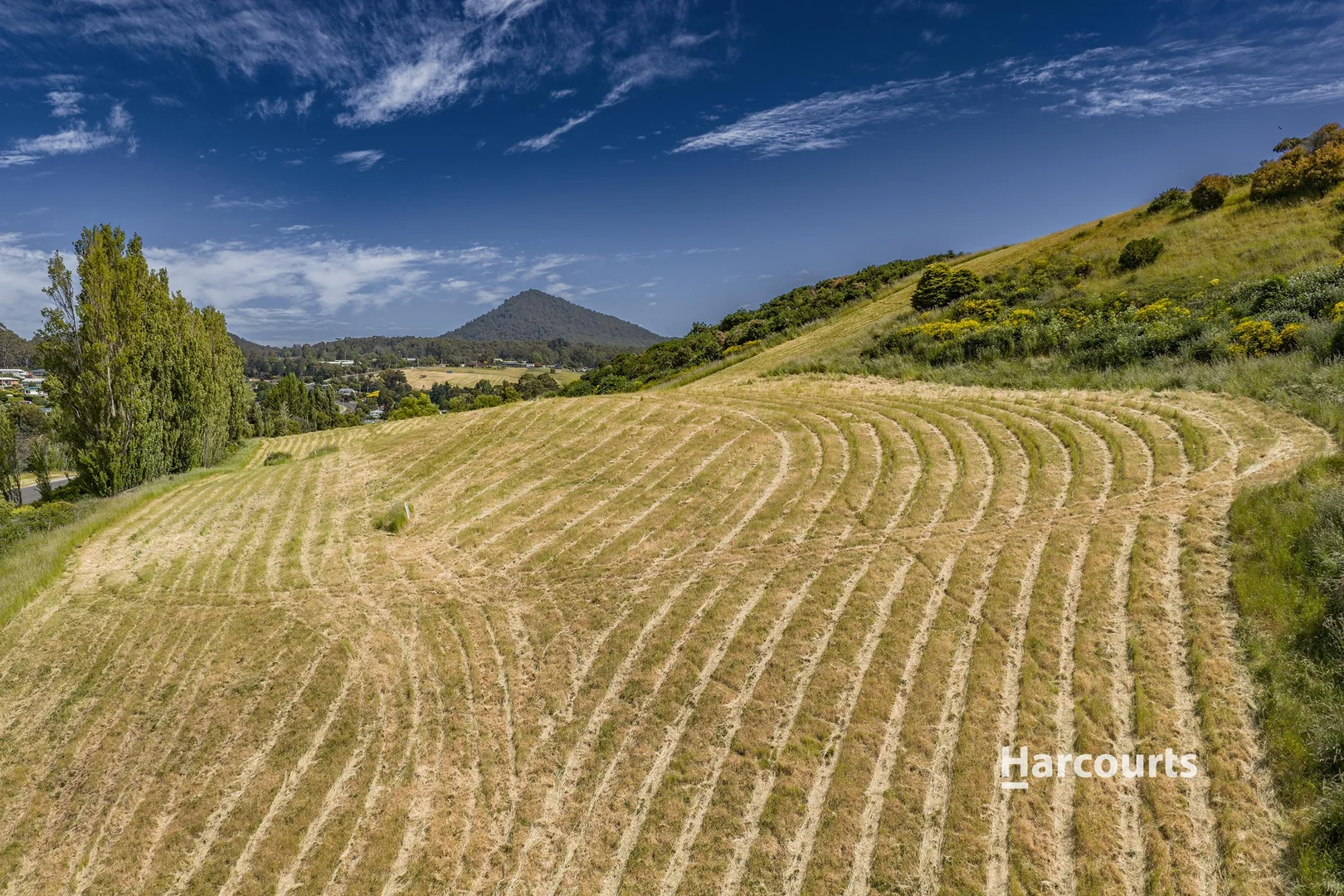 Additional image 9 of 12 Preservation Drive, Penguin TAS 7316