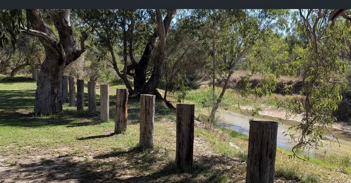 Additional image 5 of 184 Melbourne Road, Wanerie WA 6503