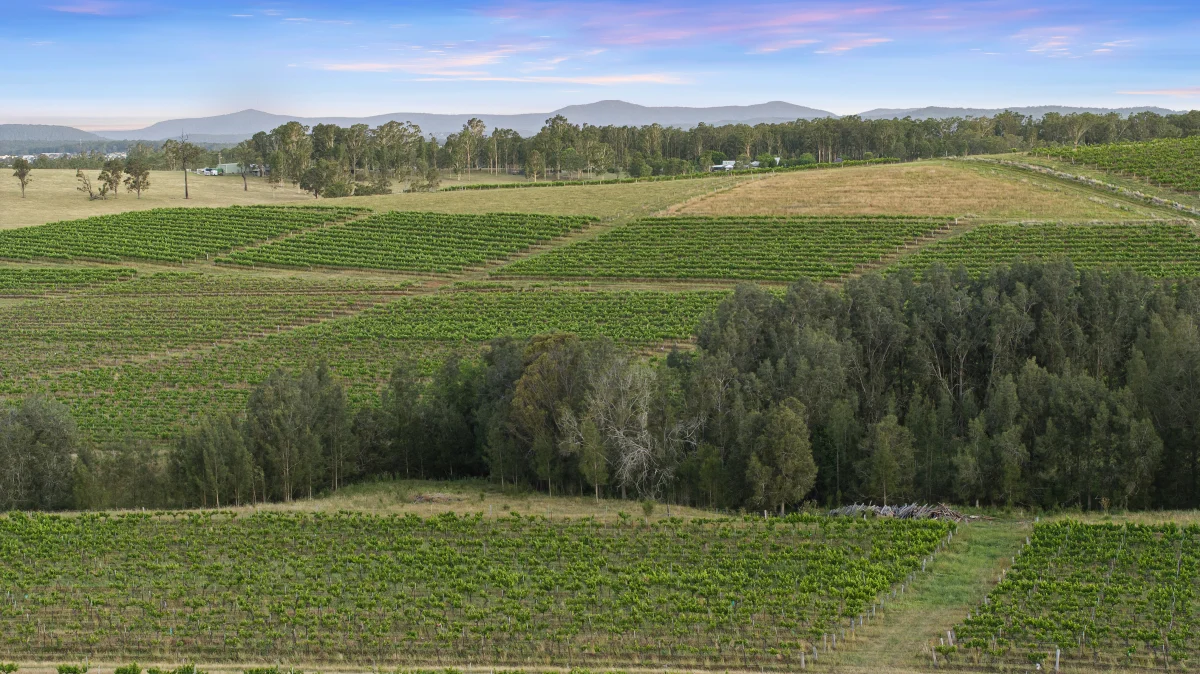 Additional image 27 of 353 Oakey Creek Road, Pokolbin NSW 2320