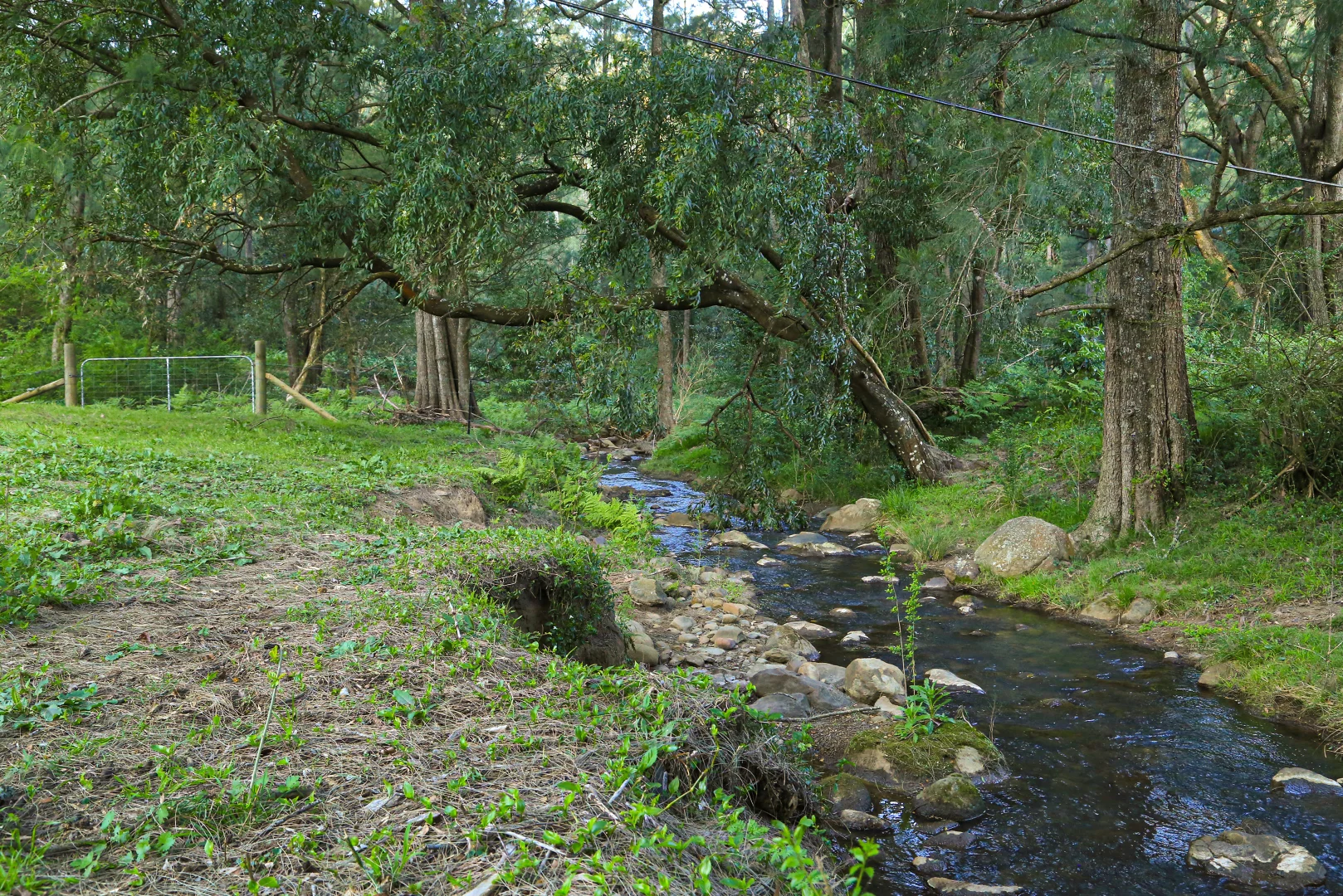 Additional image 40 of 910 Upper Kangaroo River Road, Kangaroo Valley NSW 2577