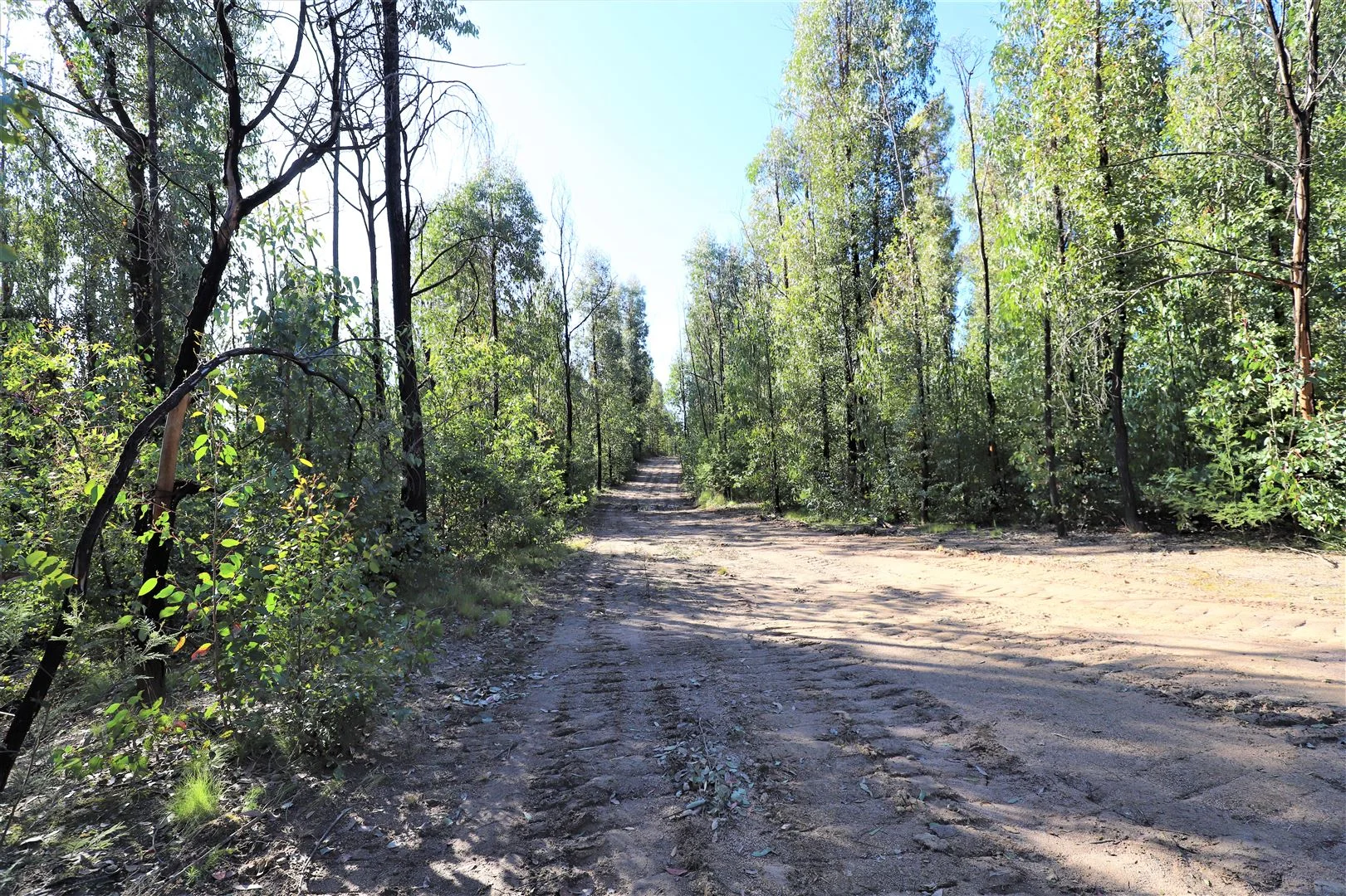 Additional image 17 of Lot 34, 35, 36, 79 Monaro Highway, Rockton NSW 2632