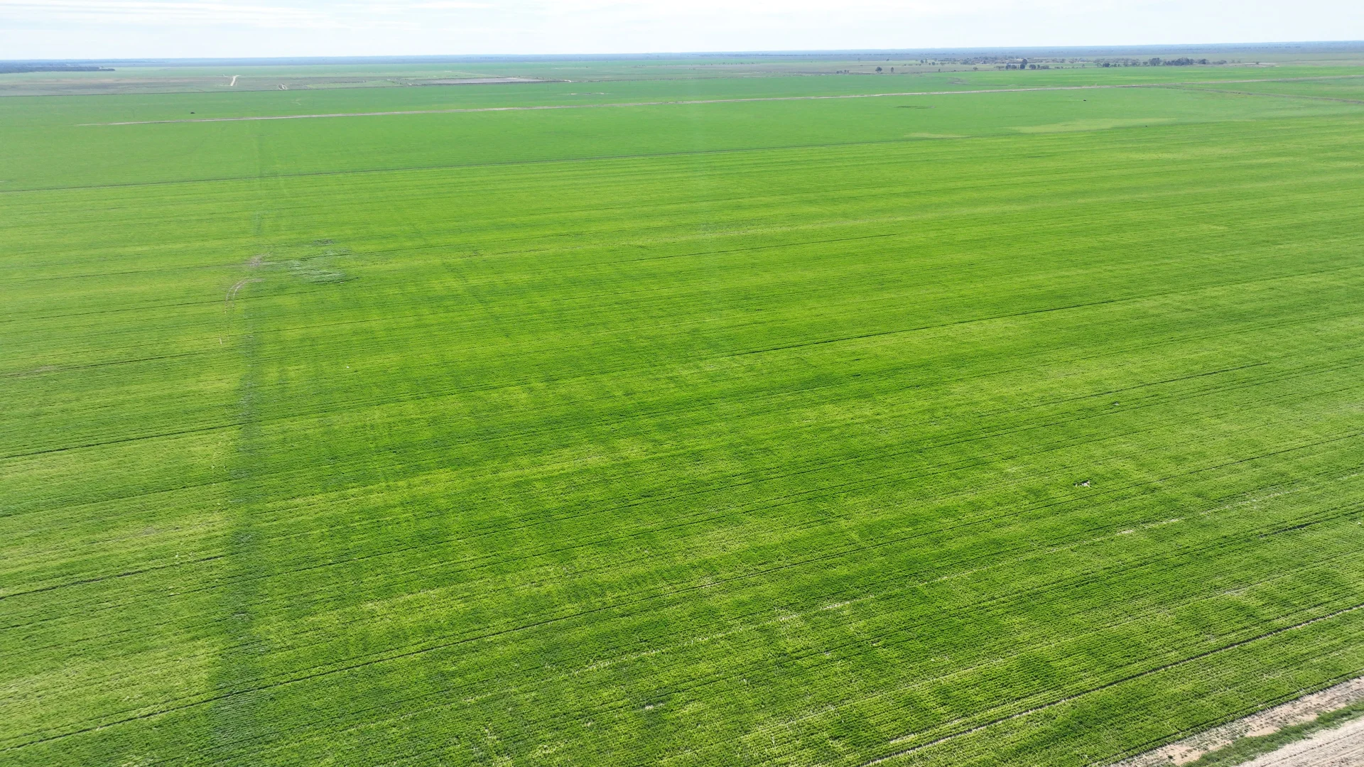 Additional image 17 of "North Devon" Dalys Road, Deniliquin NSW 2710