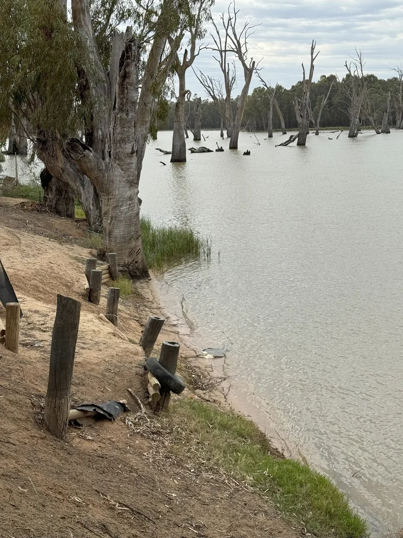 Additional image 4 of 11 Bates Drive, Euston NSW 2737