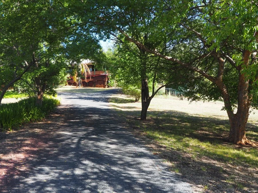 Additional image 22 of 8 White Street, Bingara NSW 2404