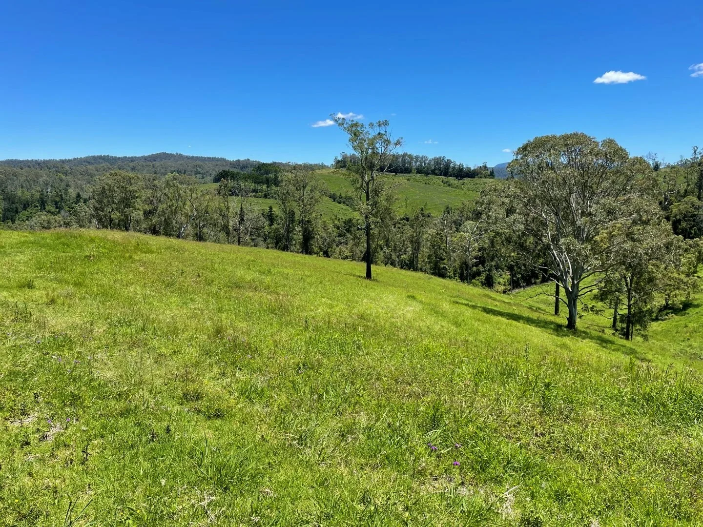 Additional image 4 of 59 Wyndham Road, Wyneden NSW 2474