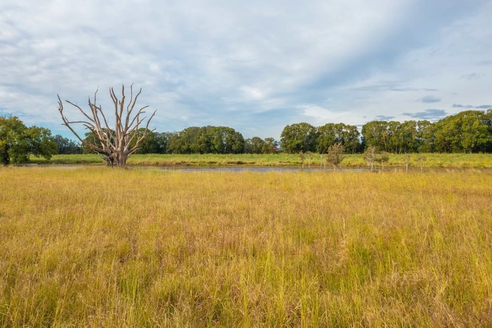 Additional image 7 of LOT 1 HURSLEY ROAD, Redbank NSW 2446