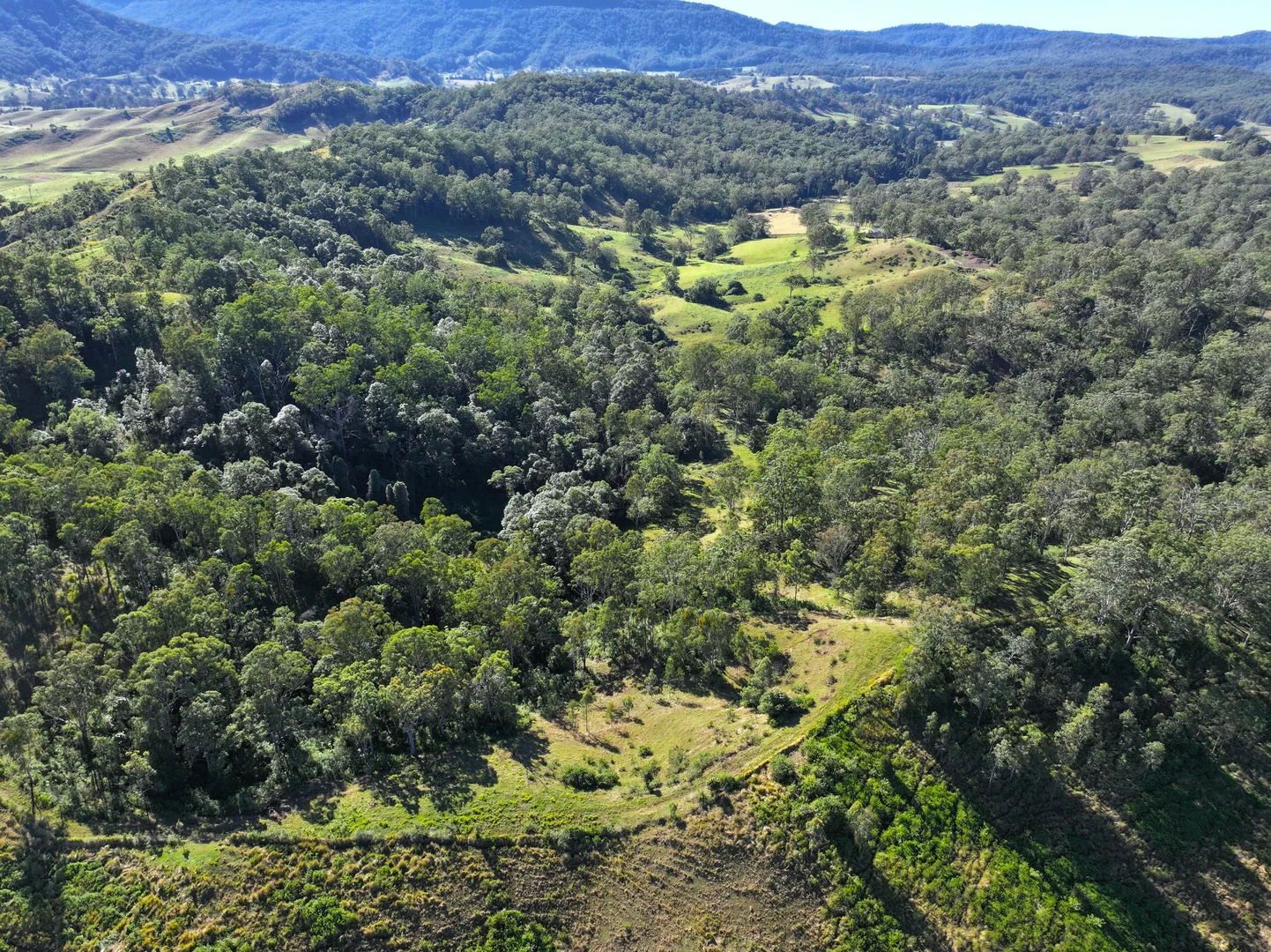 Additional image 5 of 2425 Pine Creek Rd, Lismore NSW 2480