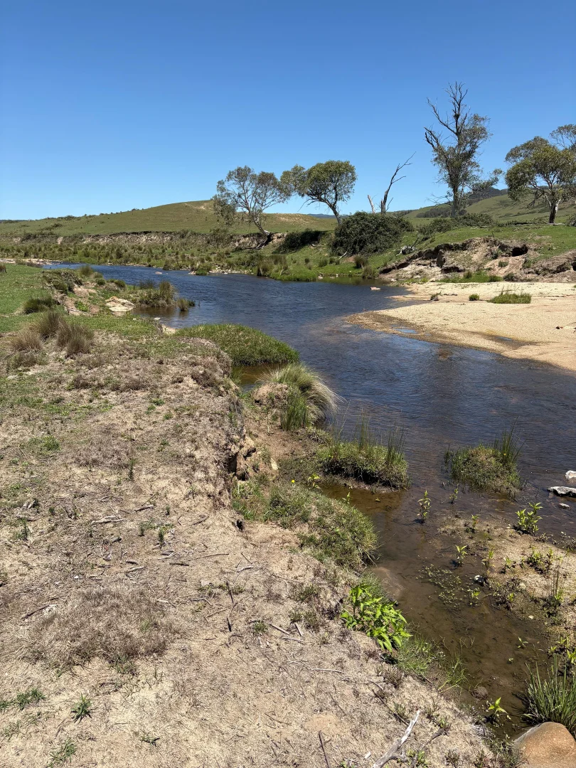 Additional image 6 of 130 Jerrabatgulla Road via Braidwood, Braidwood NSW 2622