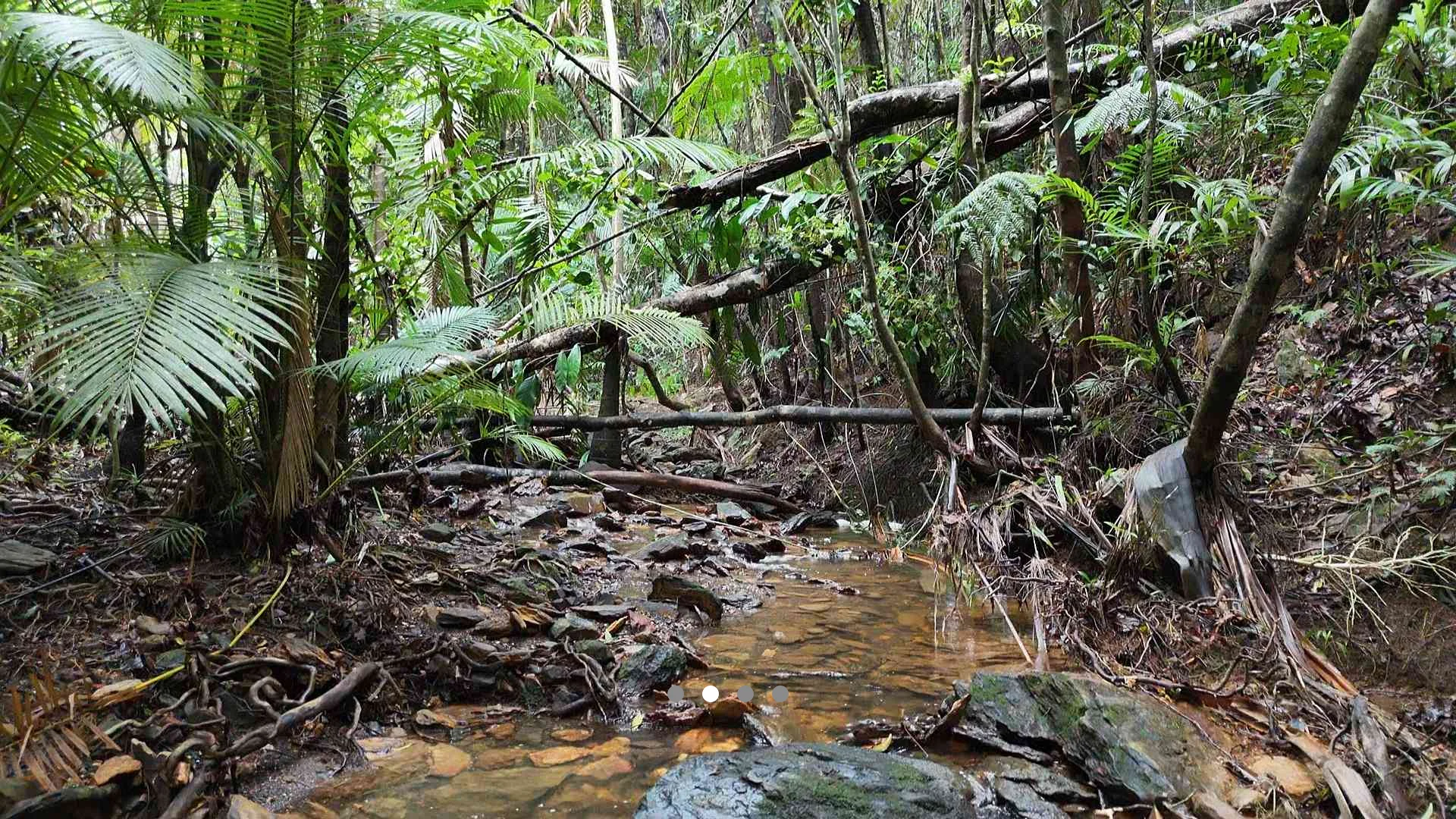 Additional image 3 of 165 Turalba Road, Jubilee Heights QLD 4860