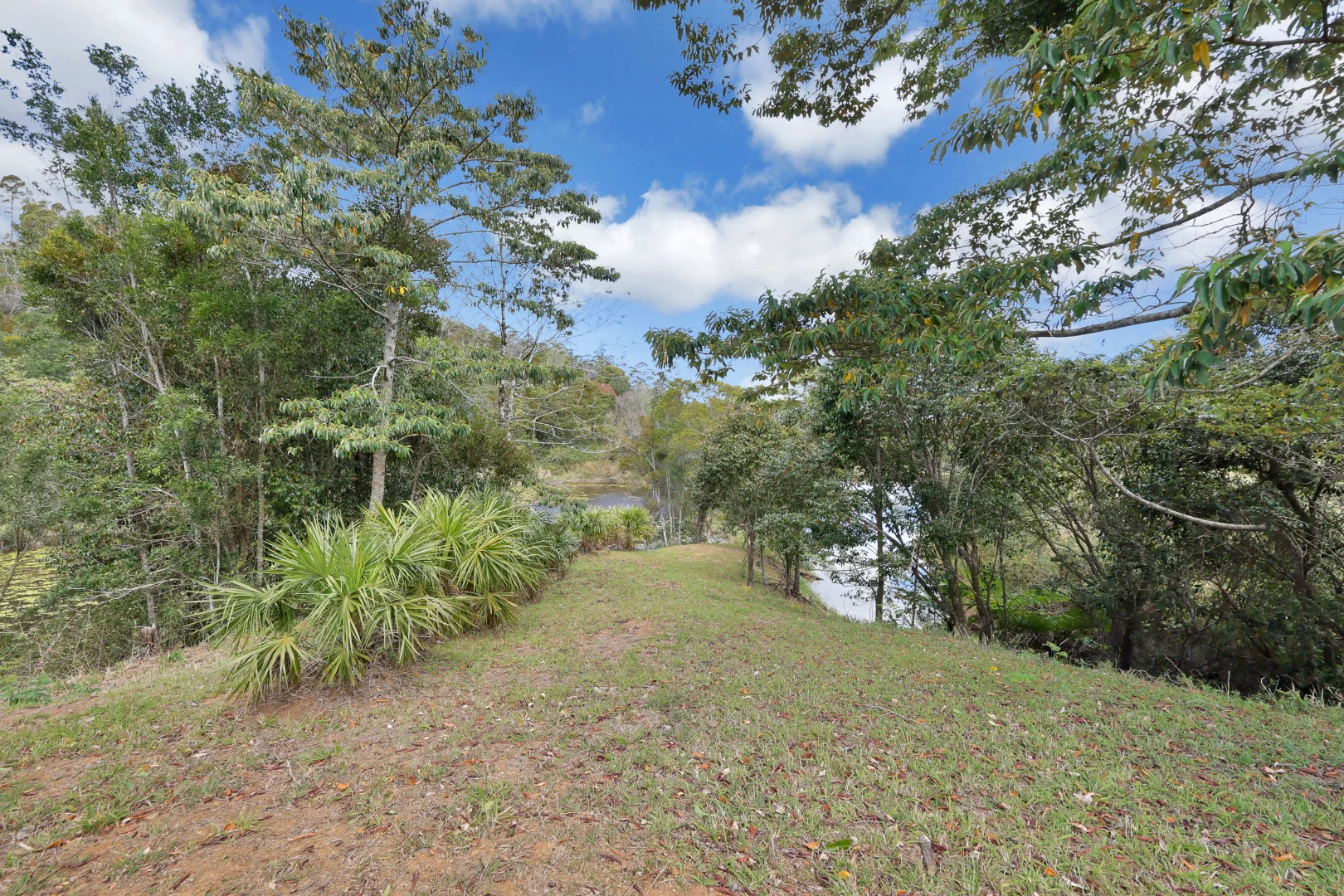 Additional image 21 of 279 Diggings Road, Eungella QLD 4757