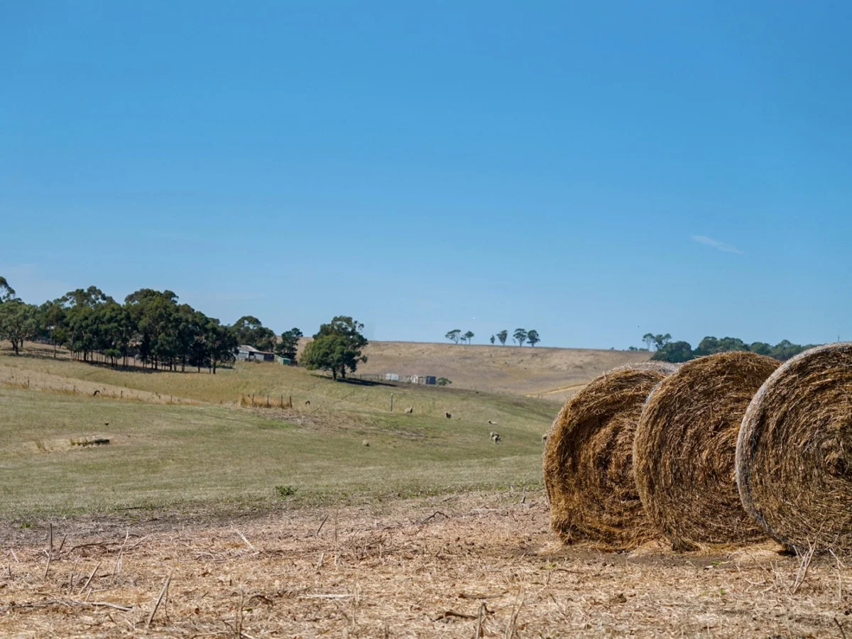 Additional image 15 of 589 Paschendale Road, Paschendale VIC 3315