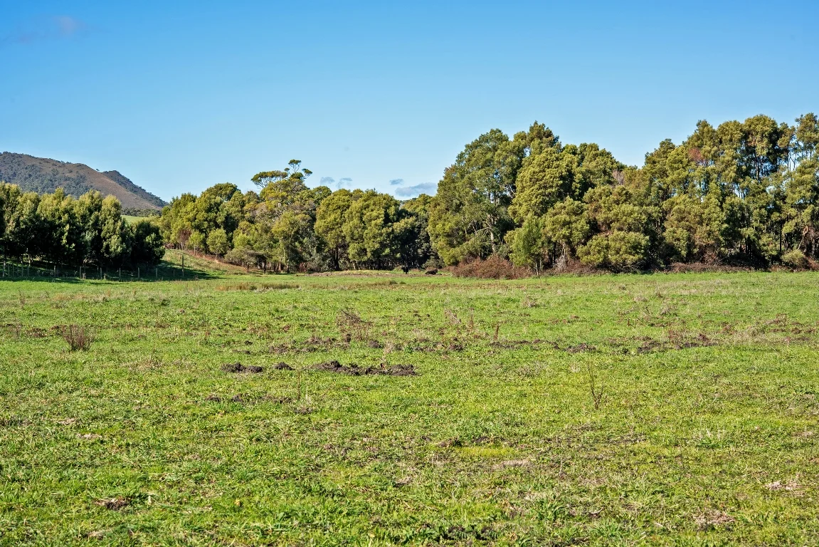 Additional image 9 of 19291 Bass Highway, Rocky Cape TAS 7321