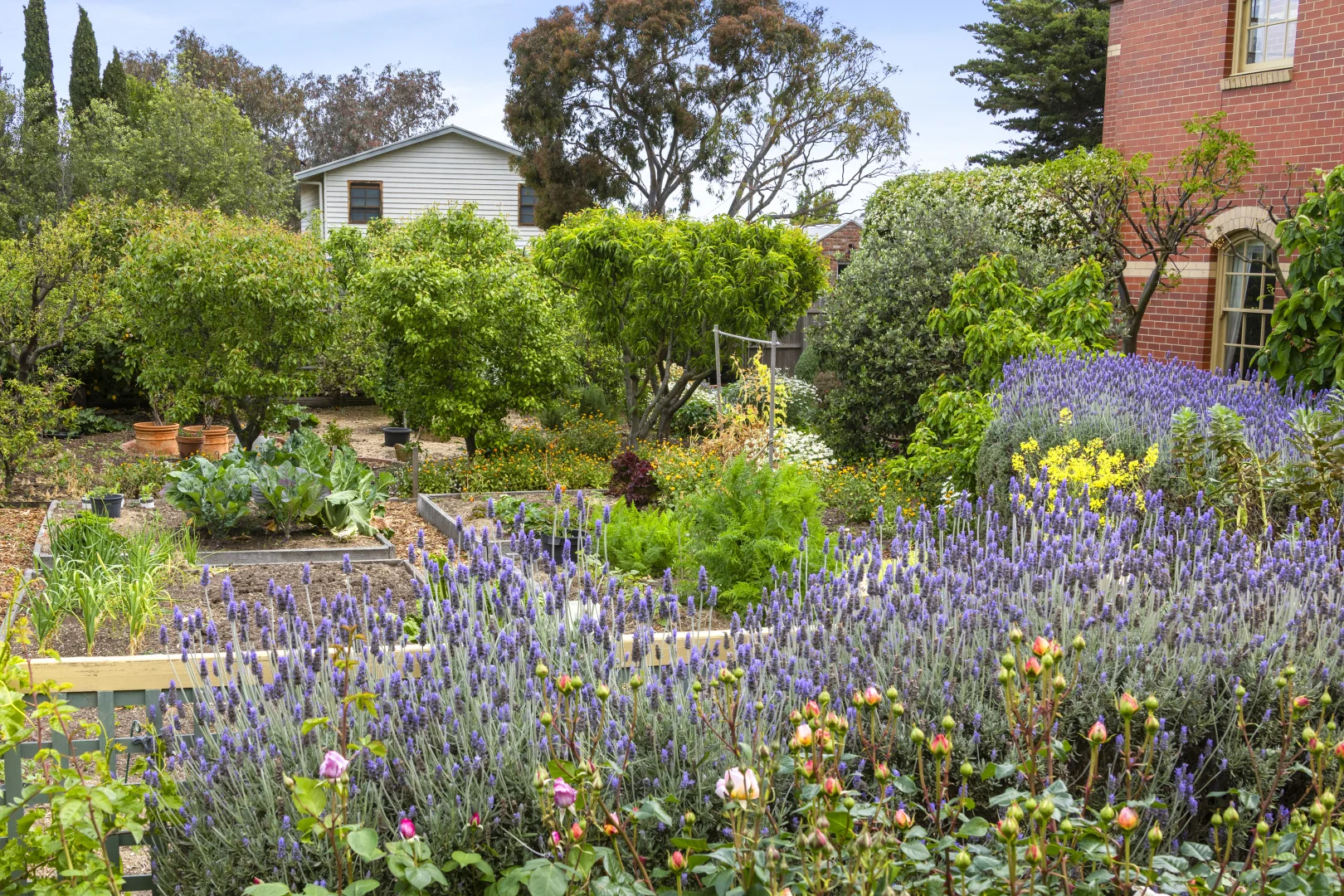 Additional image 22 of 12-14 Wheatsheaf Road, Ceres VIC 3221