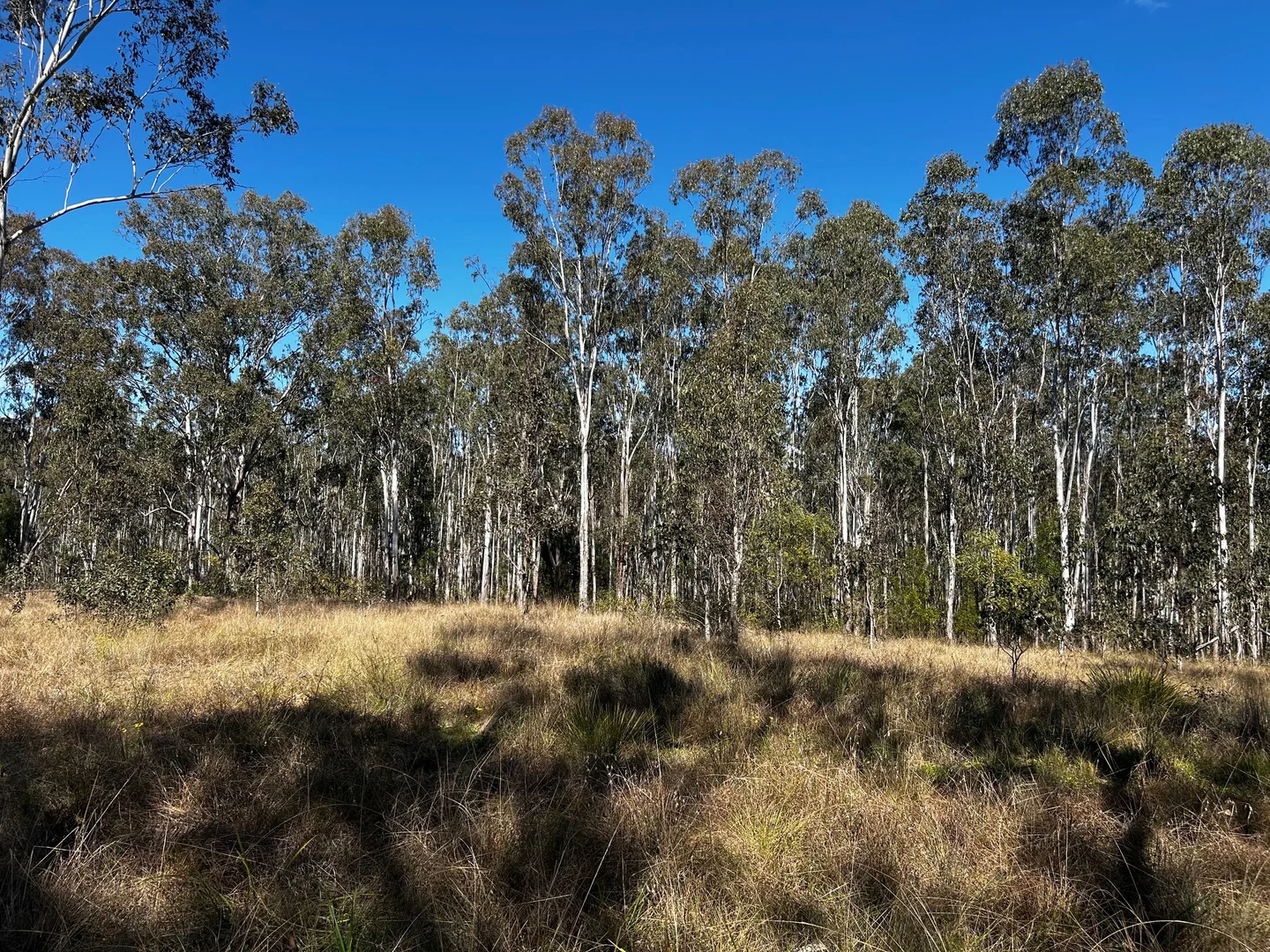 Additional image 12 of Lot 201 Paddys Flat Road, Tooloom NSW 2475