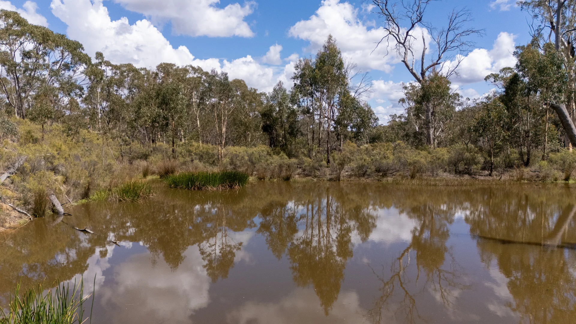 Additional image 5 of 140 Greenridge Road, Taralga NSW 2580