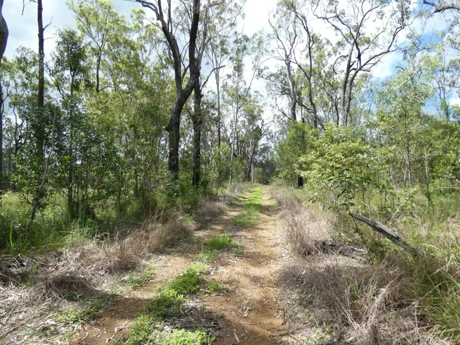 Additional image 5 of 397 Mollenhagens Road, Rosedale QLD 4674