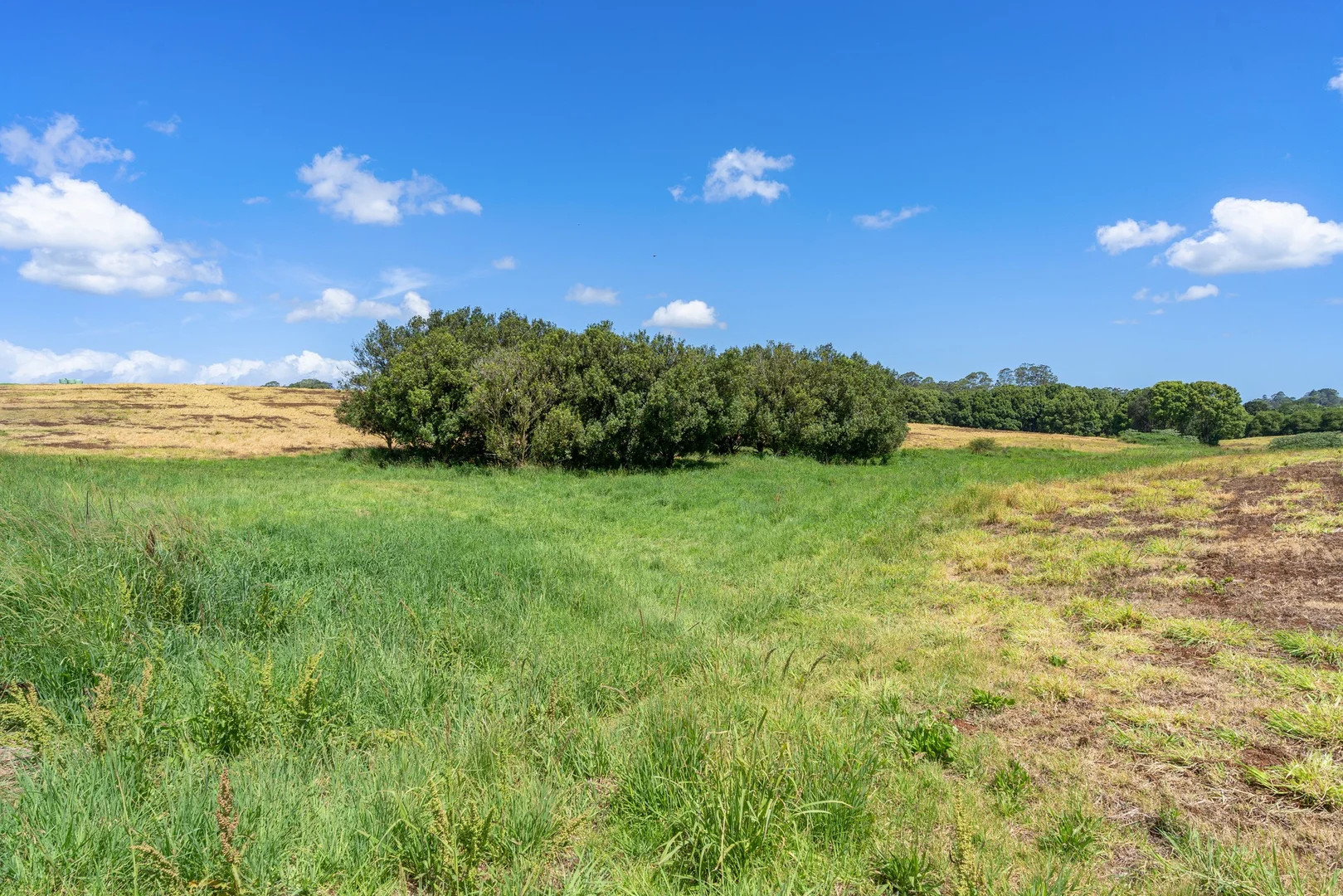 Additional image 11 of 36B Brooklet Road, Newrybar NSW 2479